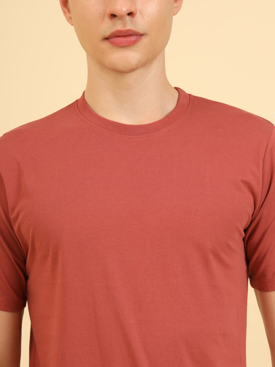 Freakin Regular Fit T-Shirt Brown